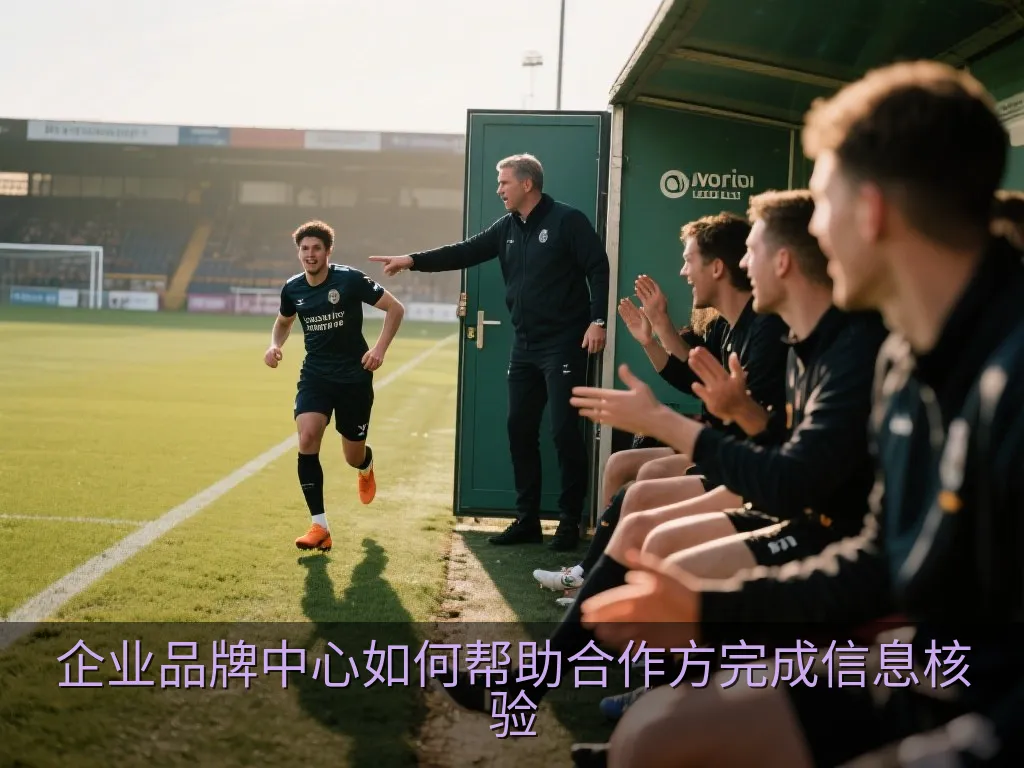 清晰分类的企业信息页面与核验流程图的中性编辑插画